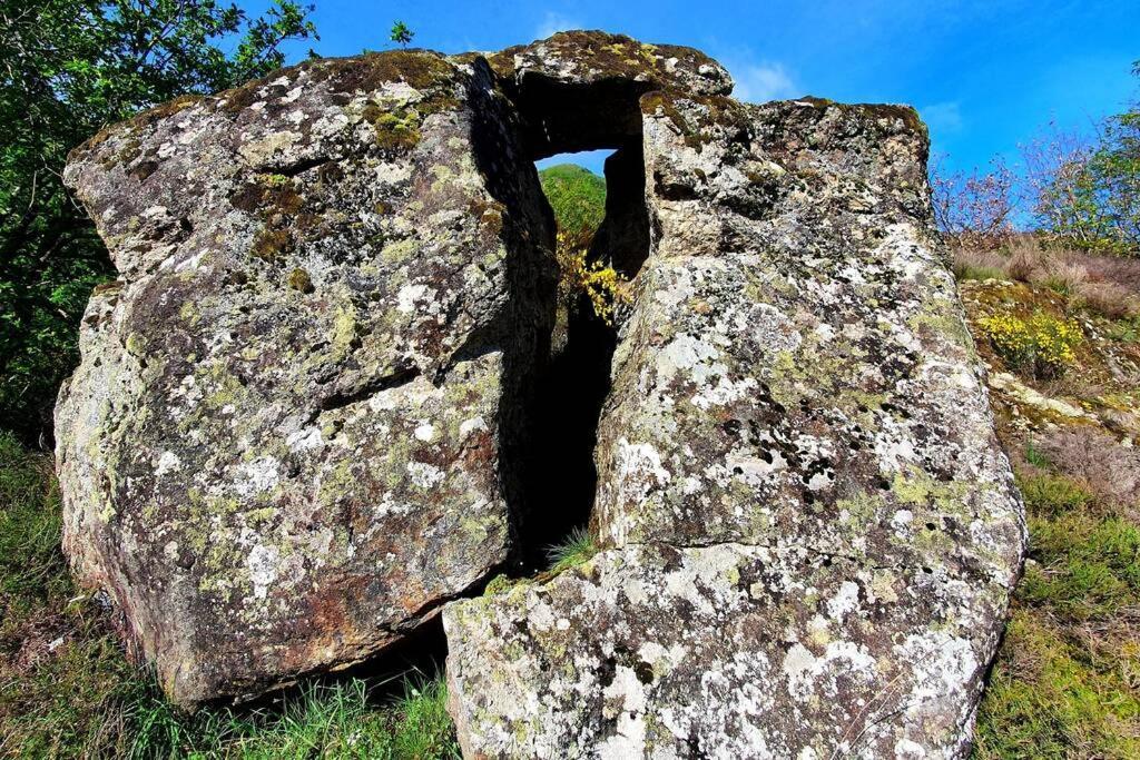 Maison Au Coeur Des Pyrenees Perles-et-Castelet Exteriör bild